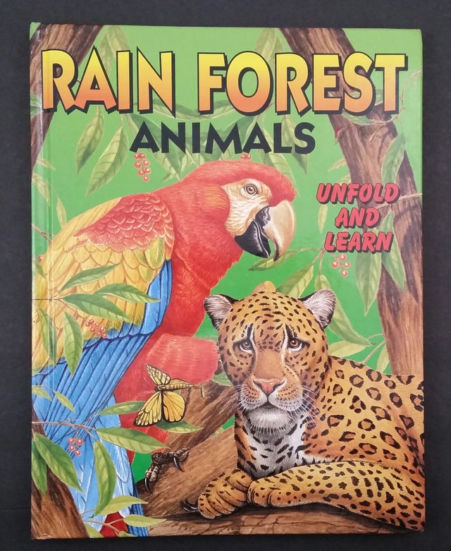 Rain Forest Animals Unfold And Learn