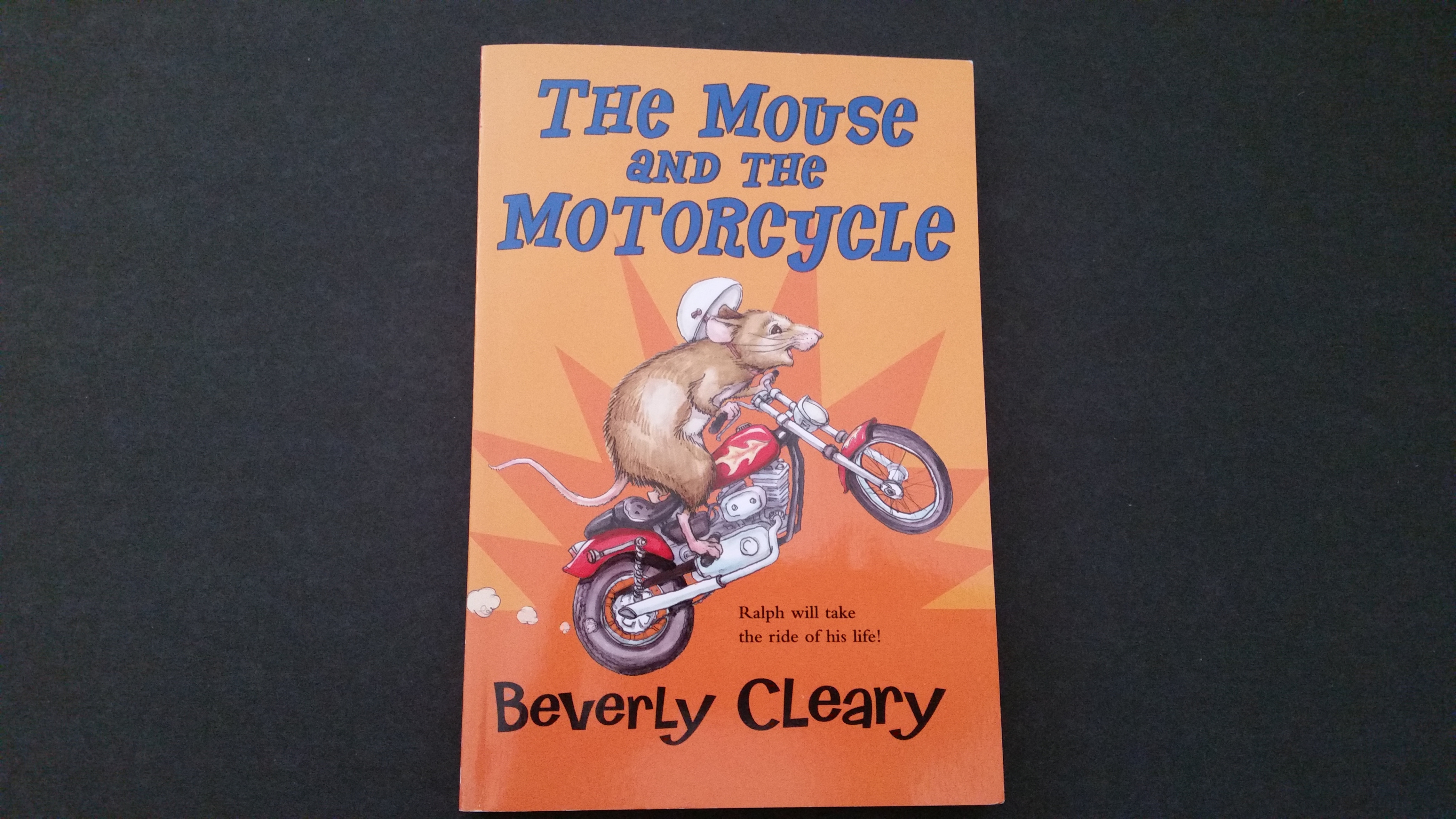 the mouse and the motorcycle full book