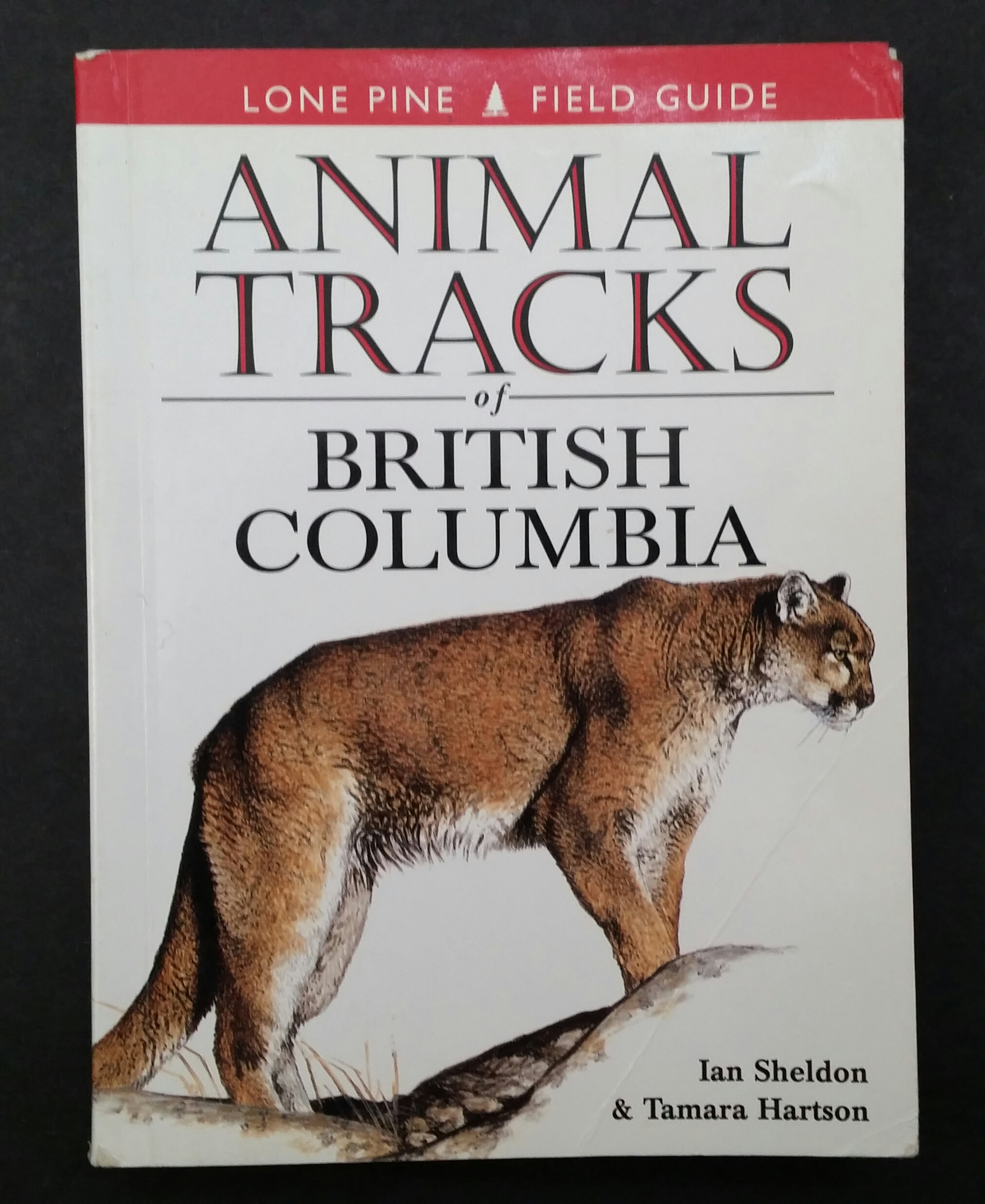 Animal Tracks Of British Columbia
