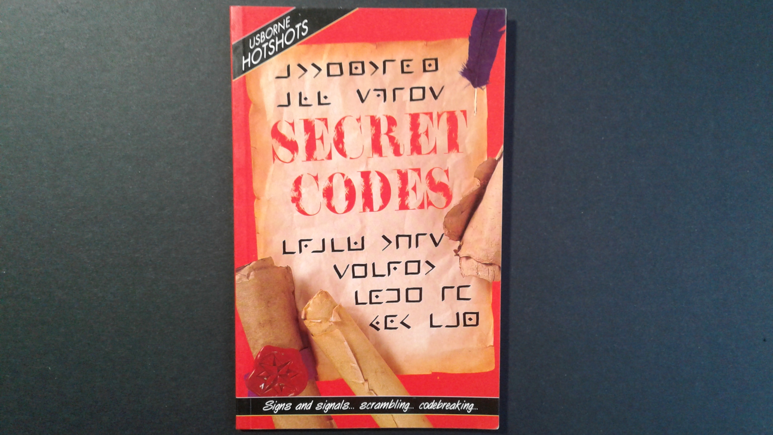 the secret codes book review